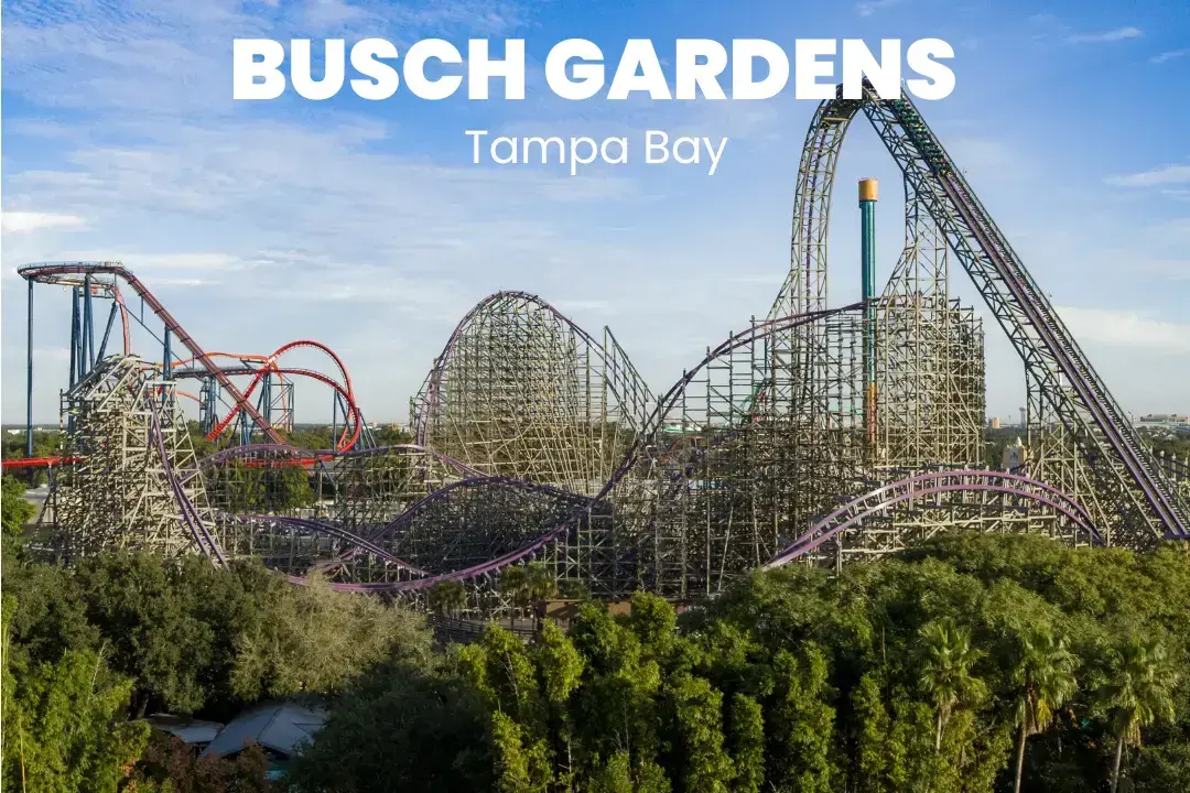 Renting Mobility Scooters at Busch Gardens Tampa Bay